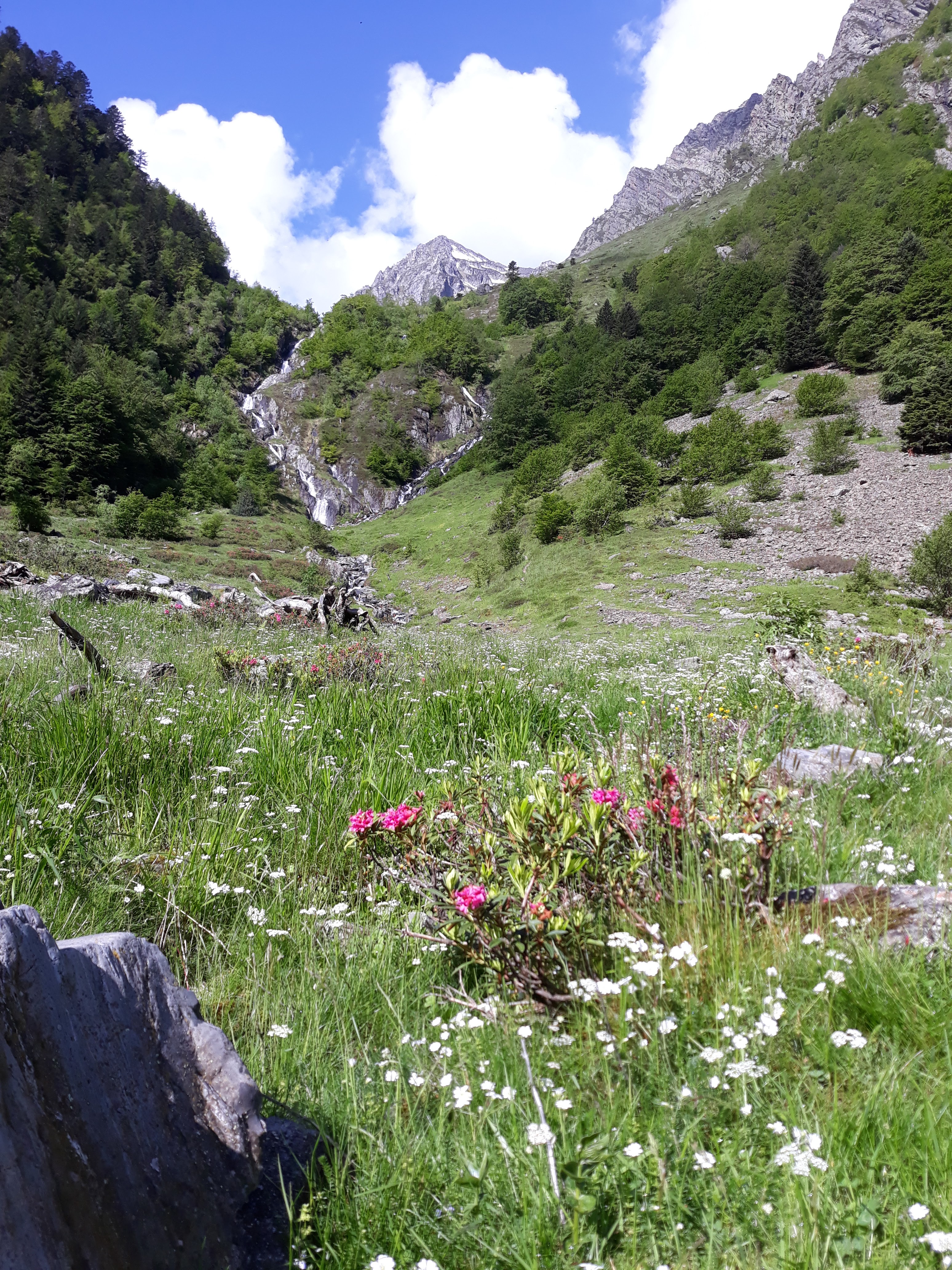 Photo n° 1 de l'avis de Dominique.a fait le 30/06/2023 à 15:54