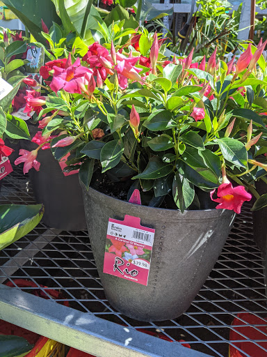 Home Improvement Store «The Home Depot», reviews and photos, 782 PA-113, Souderton, PA 18964, USA