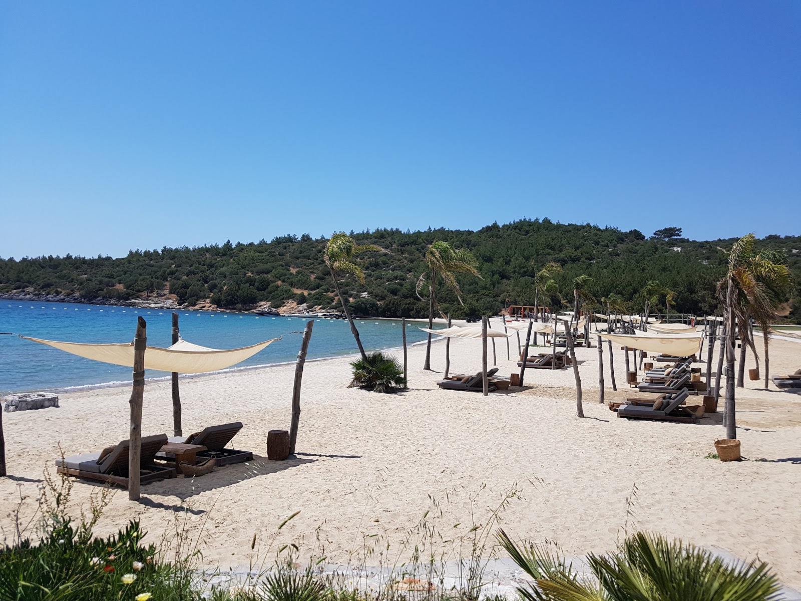 Foto von Anhinga Strand mit feiner weißer sand Oberfläche