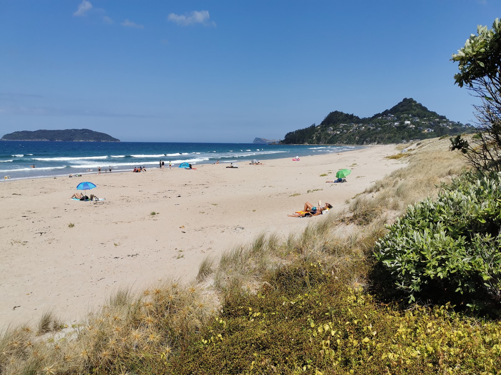 Fotografija Tairua Beach priljubljeno mesto med poznavalci sprostitve