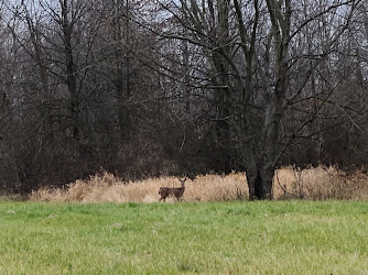 Black River Reservation