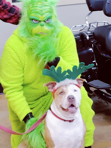 Harley-Davidson Dealer «Latus Motors Harley-Davidson of Eugene», reviews and photos, 86441 College View Rd, Eugene, OR 97405, USA