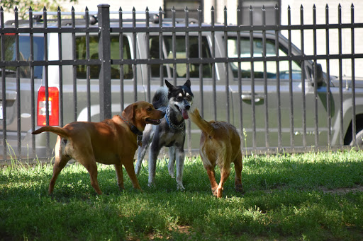 Newport Dog Park