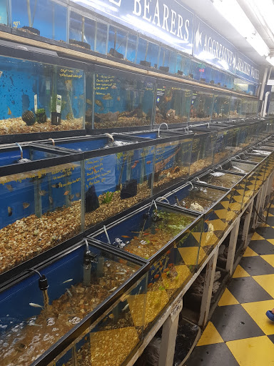 Pet Store «Brooklyn Zoo & Aquarium Pet Store», reviews and photos, 2377 Ralph Ave, Brooklyn, NY 11234, USA
