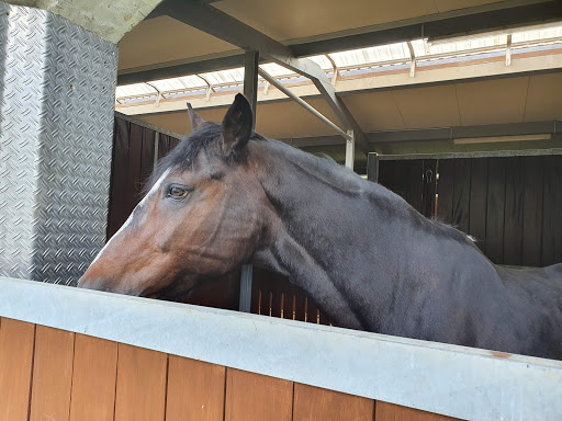 Tiergesundheitszentrum Braun in Lahr GmbH unter Lahr, Baden Württemberg