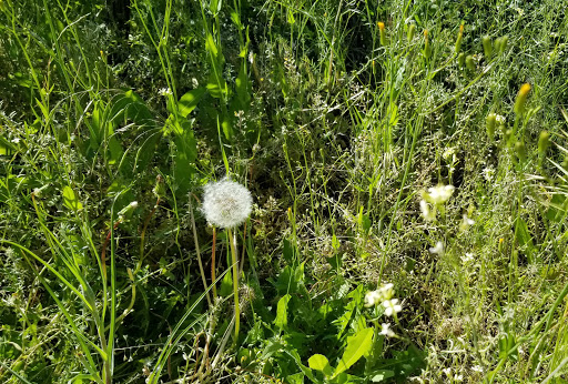 Public Golf Course «South Mountain Golf Course», reviews and photos, 1247 E Mike Weir Dr, Draper, UT 84020, USA