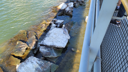 Museum «Ocean Star Offshore Drilling Rig and Museum», reviews and photos, 2002 Wharf Rd, Galveston, TX 77550, USA