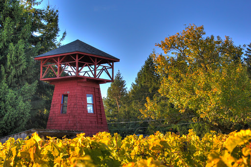 Winery «Bainbridge Vineyards», reviews and photos, 8989 NE Day Rd, Bainbridge Island, WA 98110, USA