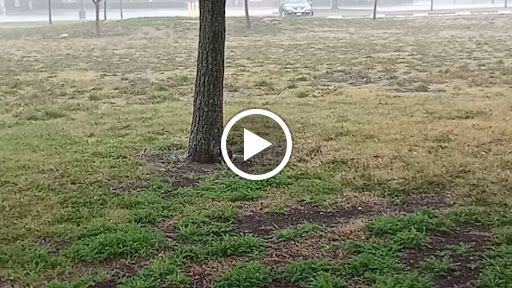 Park «Neighborhood Park - Frank Beverly Park», reviews and photos, 7112 Quarry Chase Trail, Plano, TX 75025, USA