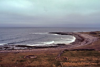 Ekkerøy Bird Cliff