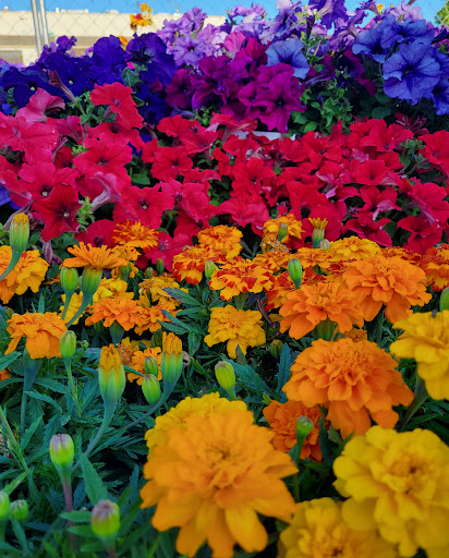 Hardware Store «McLendon Hardware», reviews and photos, 23662 104th Ave SE, Kent, WA 98031, USA