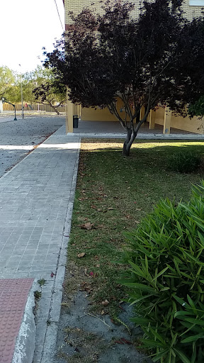 Colegio Público Pablo Ruiz Picasso, Institución educativa pública en Varadero (El),Granada
