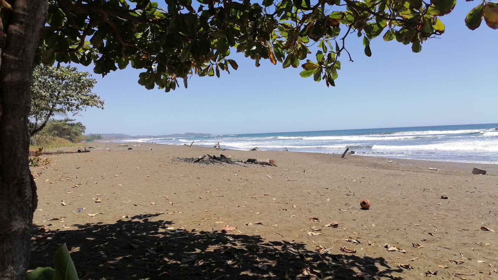 Foto de Playa del Ostional con agua cristalina superficie