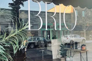 Brio Hair Space image