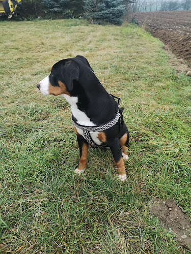 Opinii despre ZOOVET - Václav Bartoš în Hradec Králové - Veterinář