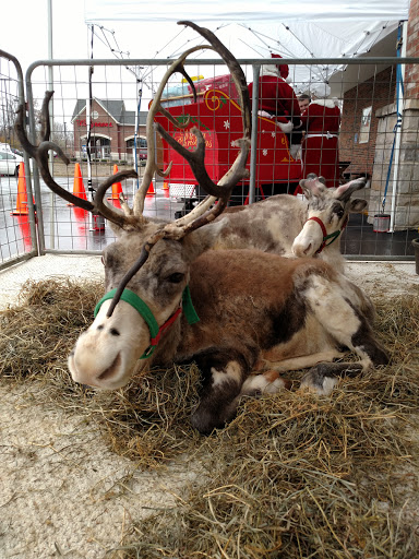 Grocery Store «IGA», reviews and photos, 1010 N Washington Ave, Cookeville, TN 38501, USA