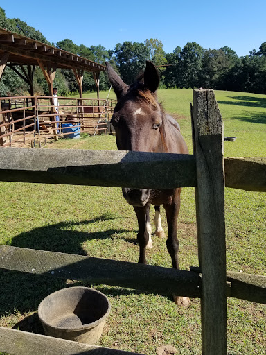 Event Venue «Dixie Dreams Special Events Venue», reviews and photos, 7188 Santa Claus Rd, Monroe, NC 28110, USA