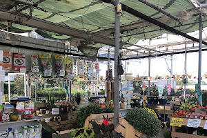 VK Greenhouses
