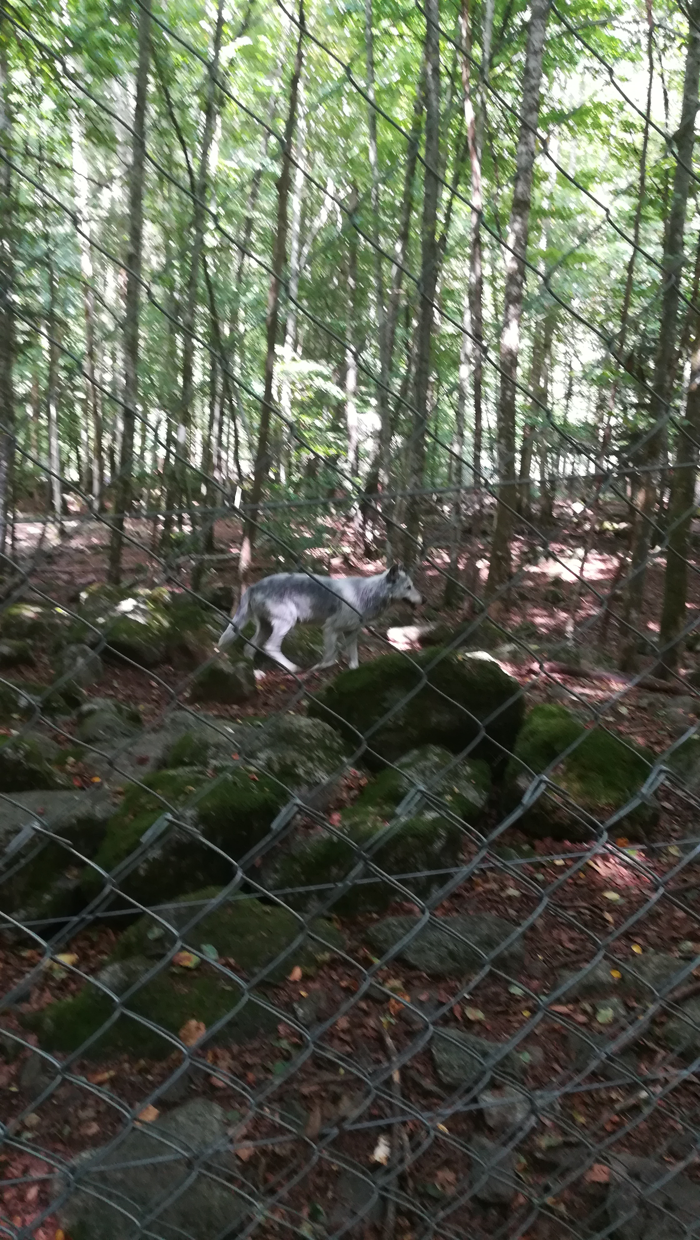 Photo n° 9 de l'avis de Melanie.a fait le 23/08/2018 à 08:47