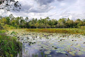 Hidden Pond Preserve