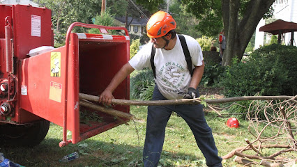 Out on A Limb Tree Service