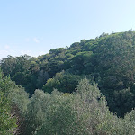 Photo n°23 de l'avis de qlv.s fait le 13/09/2023 à 13:57 sur le  Penha Longa Resort à Lisboa