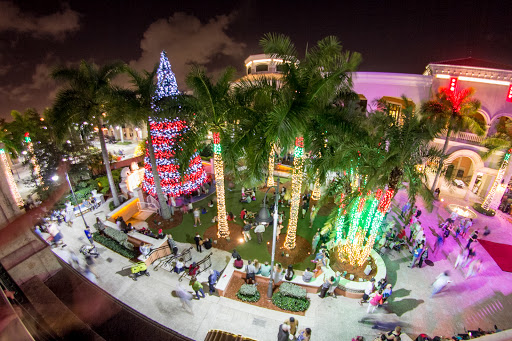 Miami Christmas Lights