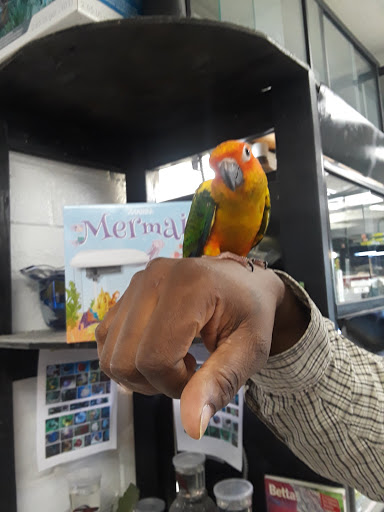 Pet Store «Animal Lovers Pet Shop», reviews and photos, 24028 Vista Montana, Torrance, CA 90505, USA