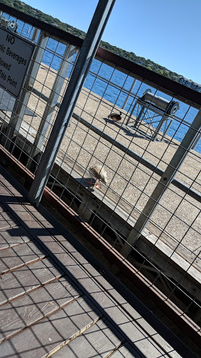 Bar & Grill «The Gnarly Gar», reviews and photos, 18200 Lakepoint Cove, Point Venture, TX 78645, USA