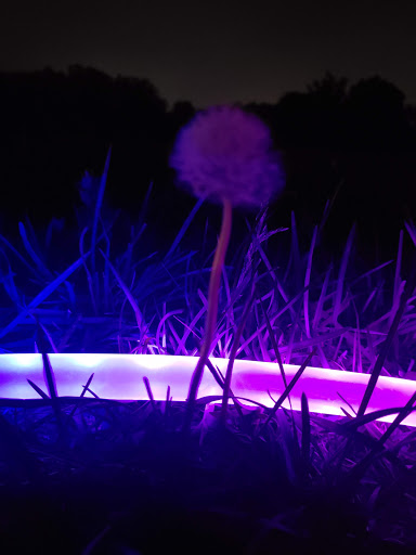 Park «Wildflower Park», reviews and photos, 980 Nolte Dr N, Colorado Springs, CO 80916, USA