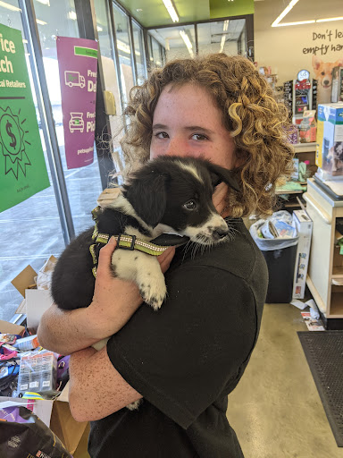 Pet Supply Store «Pet Supplies Plus», reviews and photos, 1155 Washington Pike, Bridgeville, PA 15017, USA