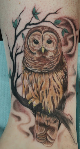 Tattoo Shop «Moth Studio», reviews and photos, 428 W Commercial St, Springfield, MO 65803, USA