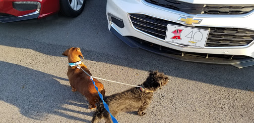 Chevrolet Dealer «Karl Chevrolet», reviews and photos, 1101 SE Oralabor Rd, Ankeny, IA 50021, USA