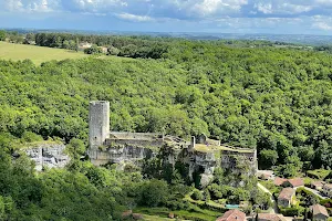Chateau de Gavaudun image