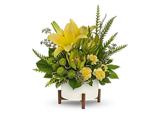 Florist «Phoebe Floral Shop», reviews and photos, 2102 Hamilton St, Allentown, PA 18104, USA