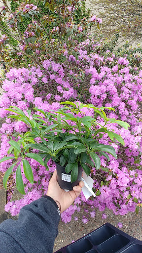 Florist «La Crosse Floral», reviews and photos, 2900 Floral Ln, La Crosse, WI 54601, USA