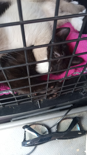 TimberTrails Low Cost Veterinary Services image