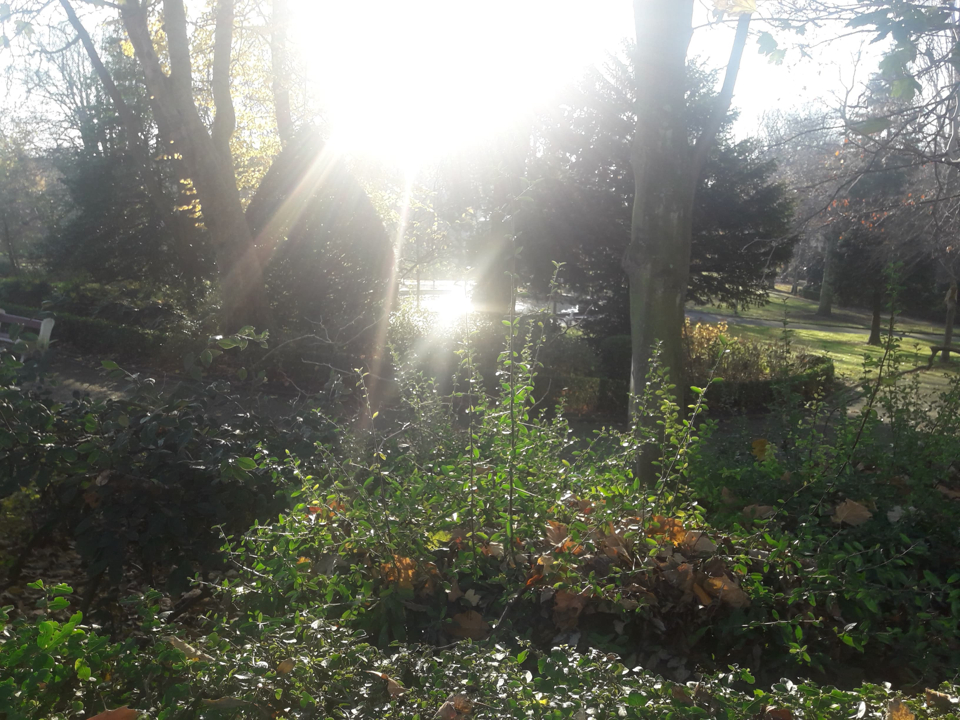 Photo n° 4 de l'avis de yanjo.e fait le 05/12/2019 à 07:45