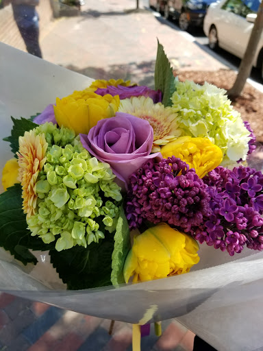 Florist «Ultra Violet Flowers», reviews and photos, 1218 31st St NW, Washington, DC 20007, USA
