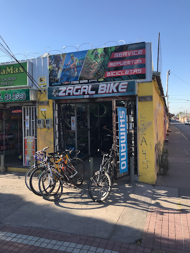 Opiniones de ZAGAL BIKE en Puente Alto - Tienda de bicicletas