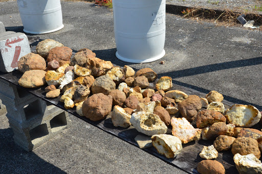 Gift Shop «Wild Wonderful Gift Shop», reviews and photos, 803 Mammoth Cave Rd, Cave City, KY 42127, USA