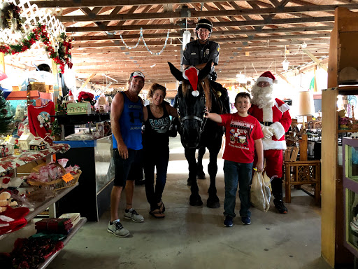 Flea Market «Gunn Highway Flea Market», reviews and photos, 2317 Gunn Hwy, Odessa, FL 33556, USA