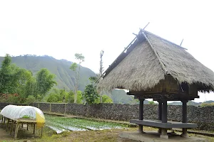 Desa Beleq, Kebun Bambu, Gunung Selong image