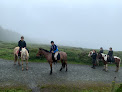 The Paddocks Riding Centre