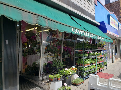 Florist «Cappelletti Florist Inc», reviews and photos, 1907 Bergenline Ave Suite #1, Union City, NJ 07087, USA
