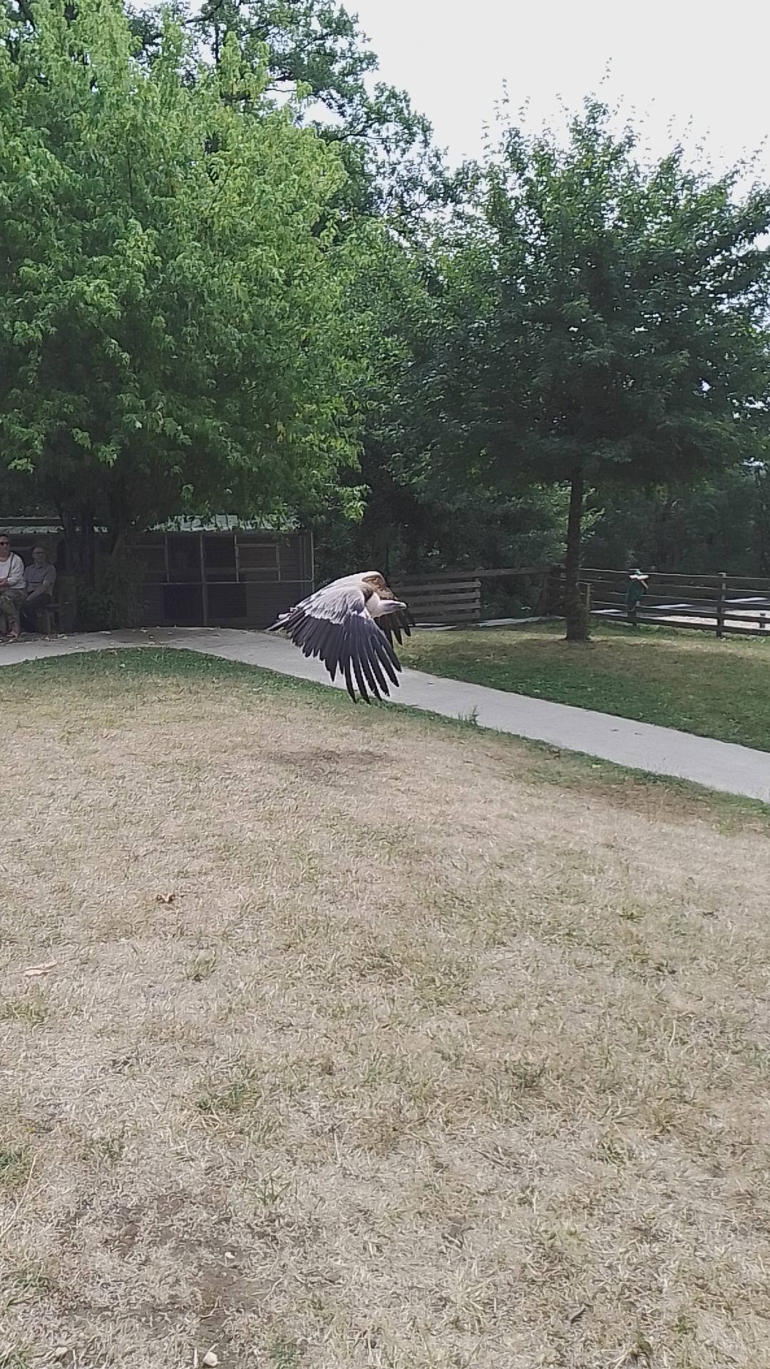 Photo n° 8 de l'avis de Prisc. fait le 17/08/2022 à 18:21