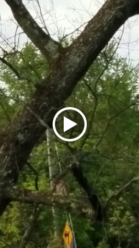 Golf Course «Minnechaug Golf Course», reviews and photos, 16 Fairway Crossing, Glastonbury, CT 06033, USA