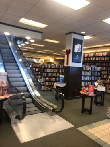 Book Store «Barnes & Noble», reviews and photos, 5377 Tamiami Trail N, Naples, FL 34108, USA