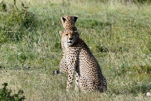 Travel Agency «Travel and Cruise World», reviews and photos, 71 Lake Link Cir SE, Winter Haven, FL 33884, USA