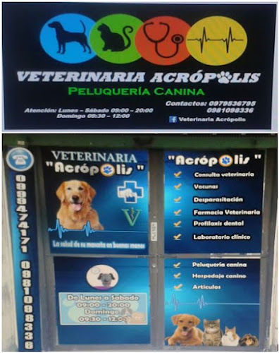 VETERINARIA ACRÓPOLIS